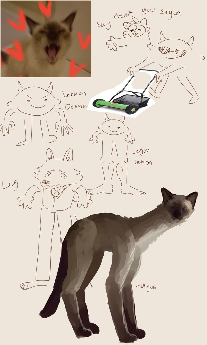 and the other doodles! 