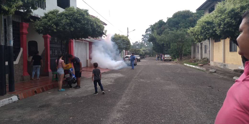 prefectostach's tweet photo. En la #PrefecturadeLaFria junto a @Corposalud_tach realizamos un trabajo la salud pública con la fumigación peridomiciliaria, para la eliminación del mosquito Anofeles. Comprometidos contigo @dirpoliticatach @laidygomezf @GobiernoTachira #PrefectosContigo #QuedateEnCasa https://t.co/bH8GRxGa2R