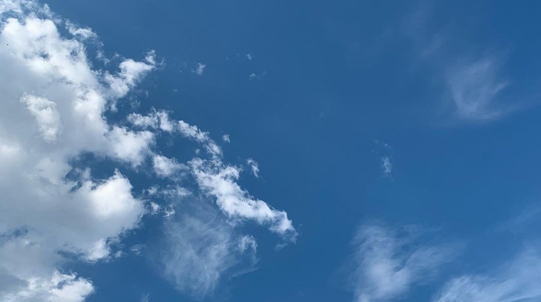 skyindigo_blue's tweet photo. 𝐼'𝑚 𝑛𝑜𝑡 𝑎𝑓𝑟𝑎𝑖𝑑 𝑡𝑜 𝑡𝑟𝑦 𝑎𝑔𝑎𝑖𝑛.  𝐼'𝑚 𝑗𝑢𝑠𝑡 𝑎𝑓𝑟𝑎𝑖𝑑 𝑖𝑡'����𝑙 𝑏𝑒 𝑙𝑖𝑘𝑒 𝑙𝑎𝑠𝑡 𝑡𝑖𝑚𝑒.

ฉันไม่ได้กลัวที่จะลองใหม่อีกครั้ง ฉันแค่กลัวว่ามันจะเป็นเหมือนครั้งที่แล้วมาต่างหาก

#คําคมภาษาอังกฤษ #แคปชั่นภาษาอังกฤษ #หมามองท้องฟ้า https://t.co/DwHUjTsi08