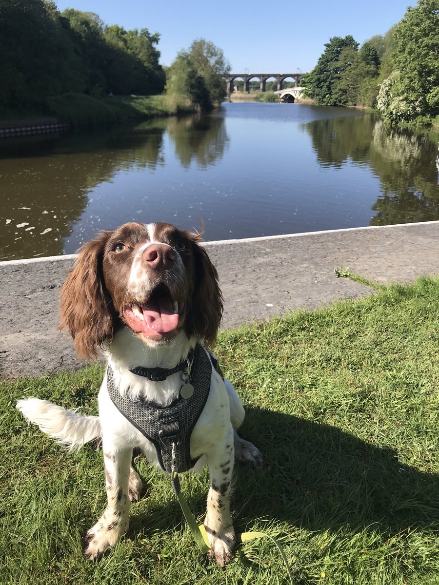 Mollster6's tweet photo. Happy Ozzy. #duttonlocks https://t.co/rZh9kfyEuD