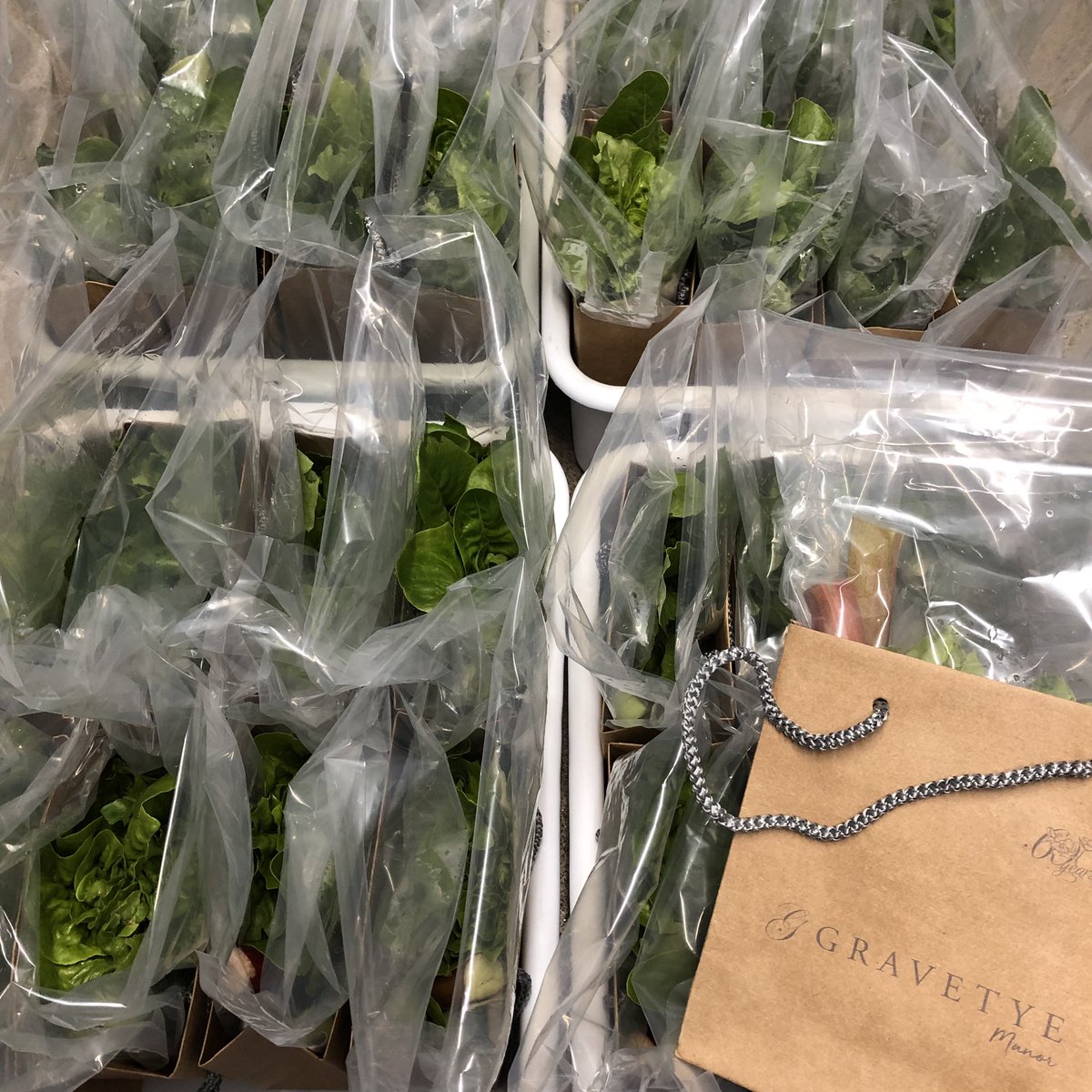 GravetyeManor's tweet photo. Another special Gravetye fruit and veg delivery to our #nhsheroes @qvh This week each bag contained: lettuce, swiss chard, tokyo turnips, breakfast radish and rhubarb! 🙏💙😊🌈 https://t.co/8Ft03aQ0Yx