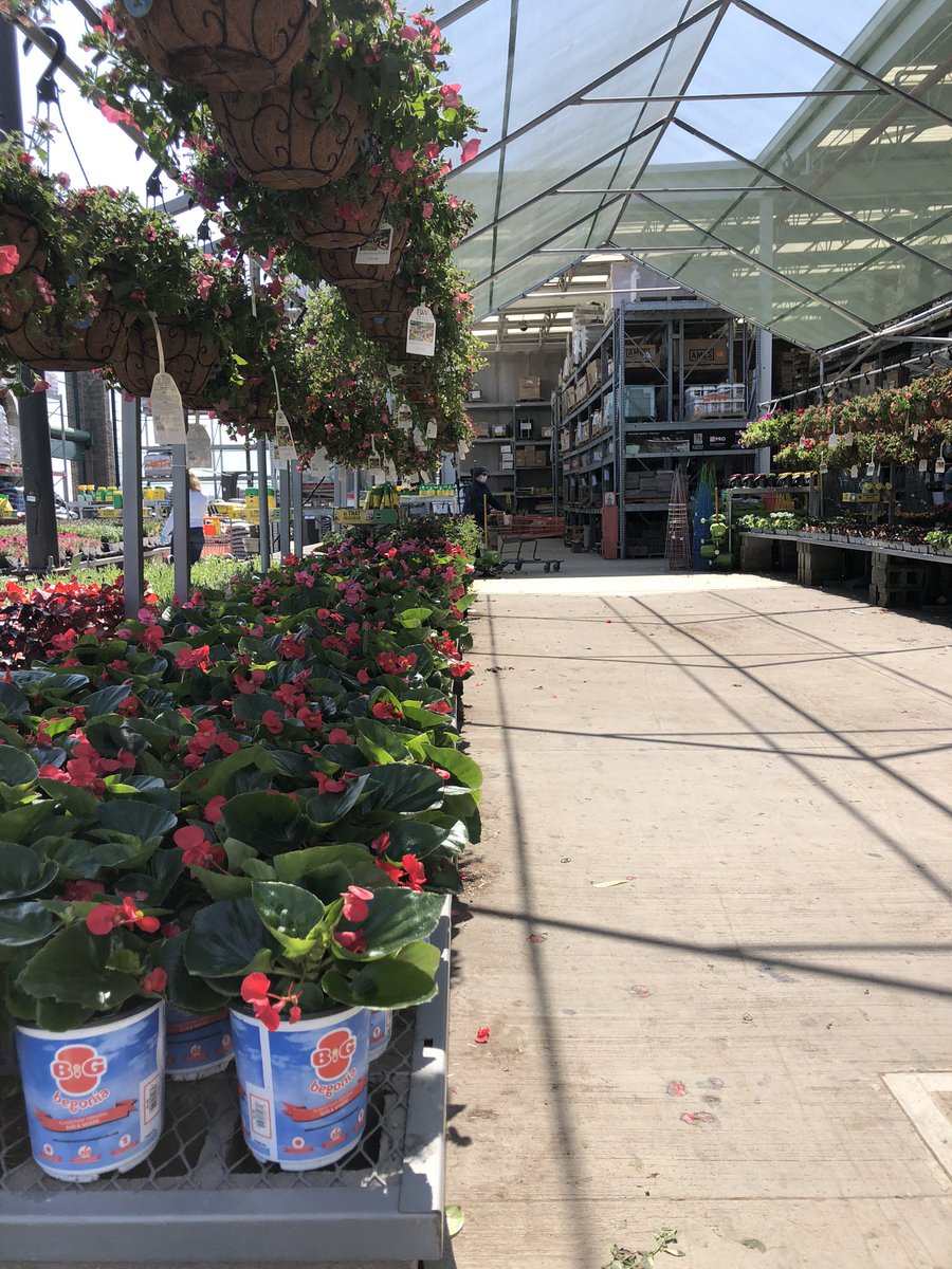 RichAltmann's tweet photo. @justkellyisfine @KurtzFarmsCT @ChristineTHD @daryl_hagen @JennNJM It’s Go Time! @KurtzFarmsCT https://t.co/ZIqraCkhyA