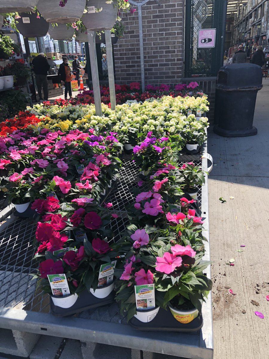 RichAltmann's tweet photo. @justkellyisfine @KurtzFarmsCT @ChristineTHD @daryl_hagen @JennNJM It’s Go Time! @KurtzFarmsCT https://t.co/ZIqraCkhyA