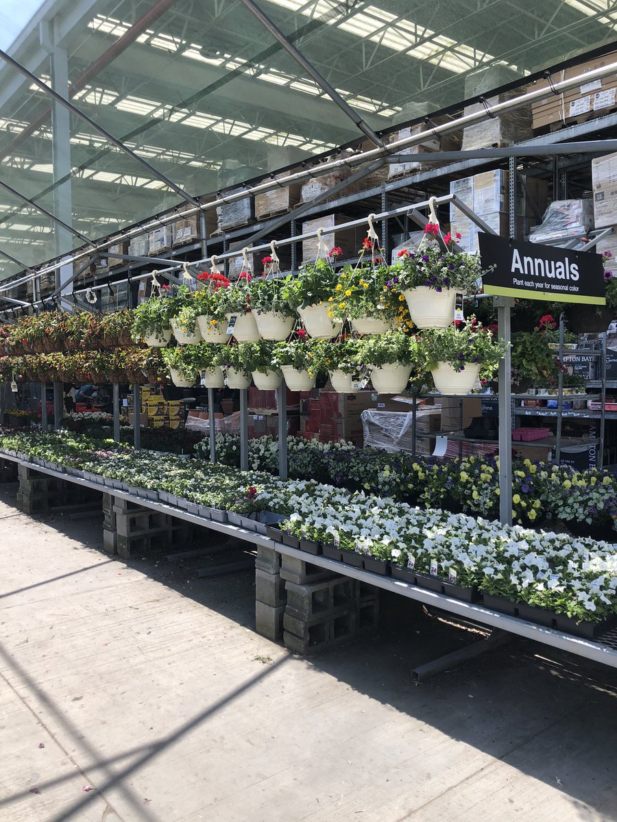 RichAltmann's tweet photo. @justkellyisfine @KurtzFarmsCT @ChristineTHD @daryl_hagen @JennNJM It’s Go Time! @KurtzFarmsCT https://t.co/ZIqraCkhyA