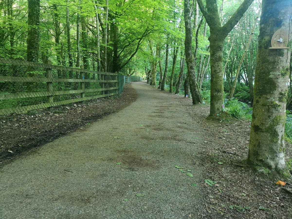 A fine morning on the Rocky Road this morning #GlanmireFairyTrail