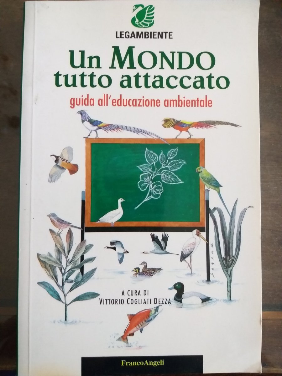 V_CogliatiDezza's tweet photo. "Un mondo tutto attaccato" titolo profetico a rileggerlo oggi, fu la seconda tappa del Settore Scuola, poi "fuori scuola per cambiare la scuola" e "per una scuola capace di futuro", ancora oggi leve fondamentali contro povertà educativa e insuccesso scolastico #Legambiente40 https://t.co/s9hiuUiCFJ