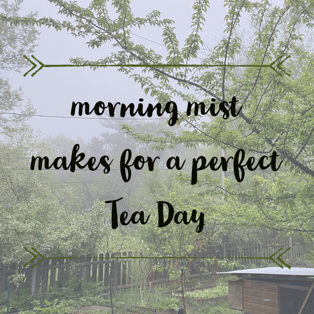 LilWoodsHerbal's tweet image. Fog and mist mellow minds and soften steps. Waking up to this beautiful scene brought back memories of England and walking through the moor to school. I couldn’t help but brew a strong cup of Top o’ the Morning. What is your favorite misty day tea? #dailytea #morningmist #teatime