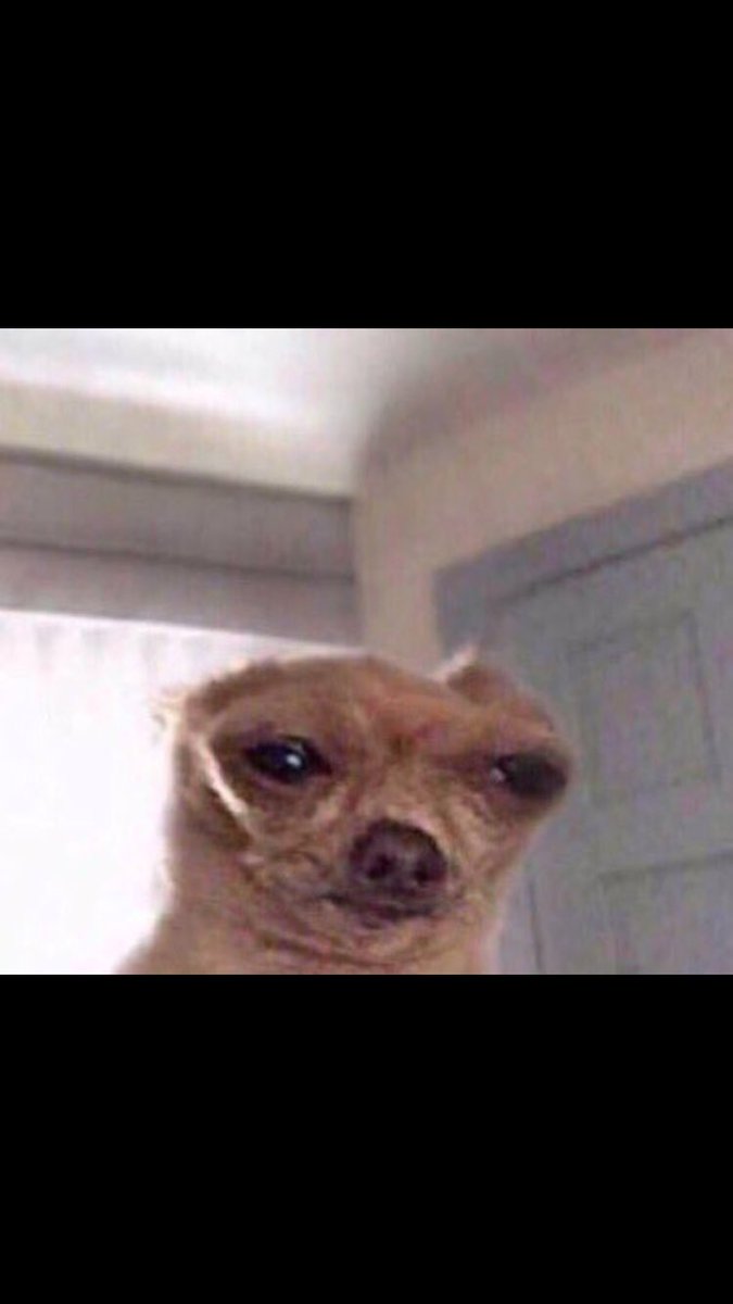 grethandolan's tweet photo. if there’s any gravimetric analysis on the chem exam i will be passing away #apchem https://t.co/KfeSlMIRy8
