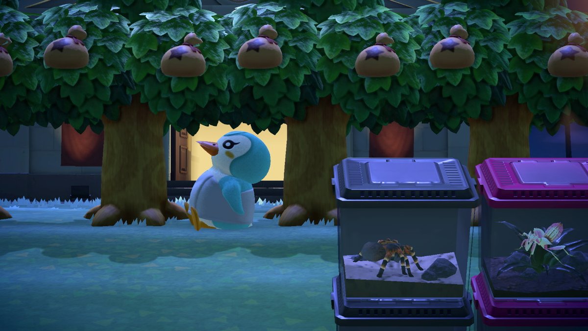 wagu76's tweet photo. #동물의숲 #AnimalCrossing #ACNH #NintendoSwitch https://t.co/60fUsO73p3