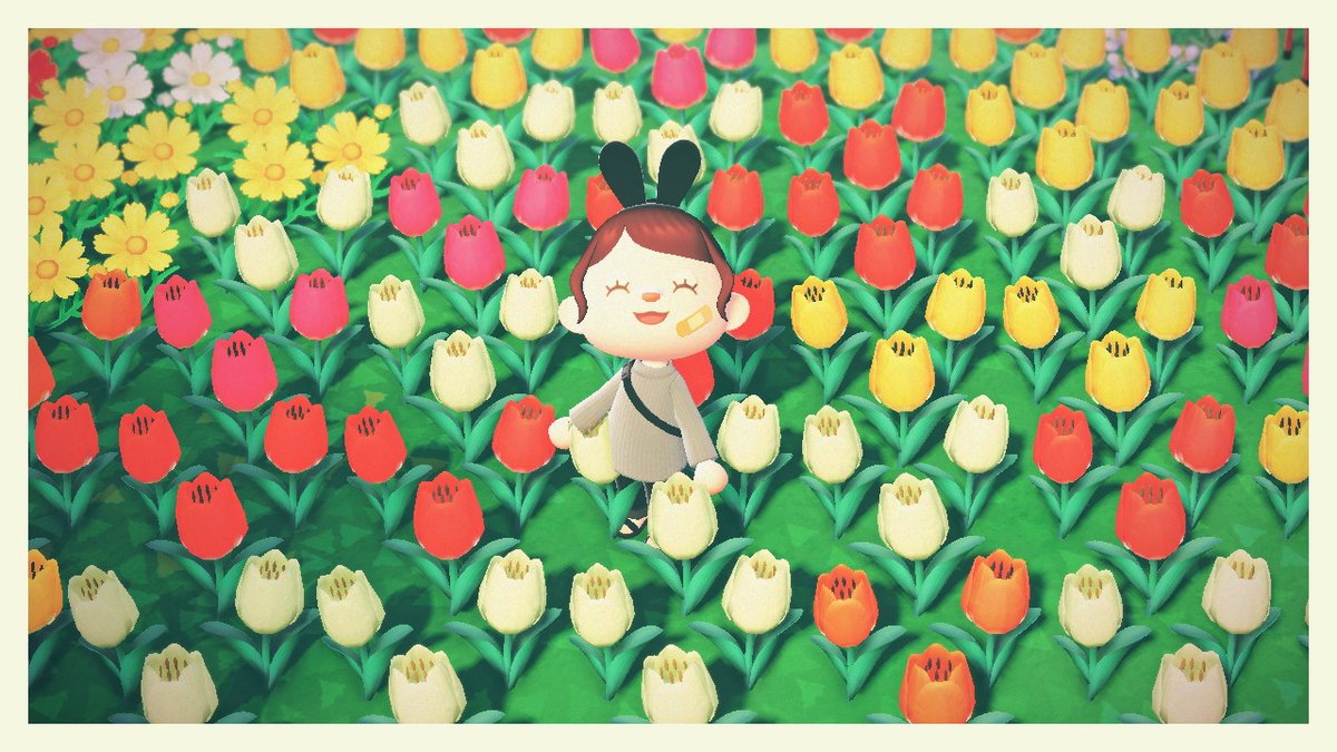ReBlxtf's tweet photo. おともだちの島にいかせてもらった(*^^*) 
お花畑キレ～

#どうぶつの森 #AnimalCrossing #ACNH #NintendoSwitch https://t.co/1Qg3InOWWt