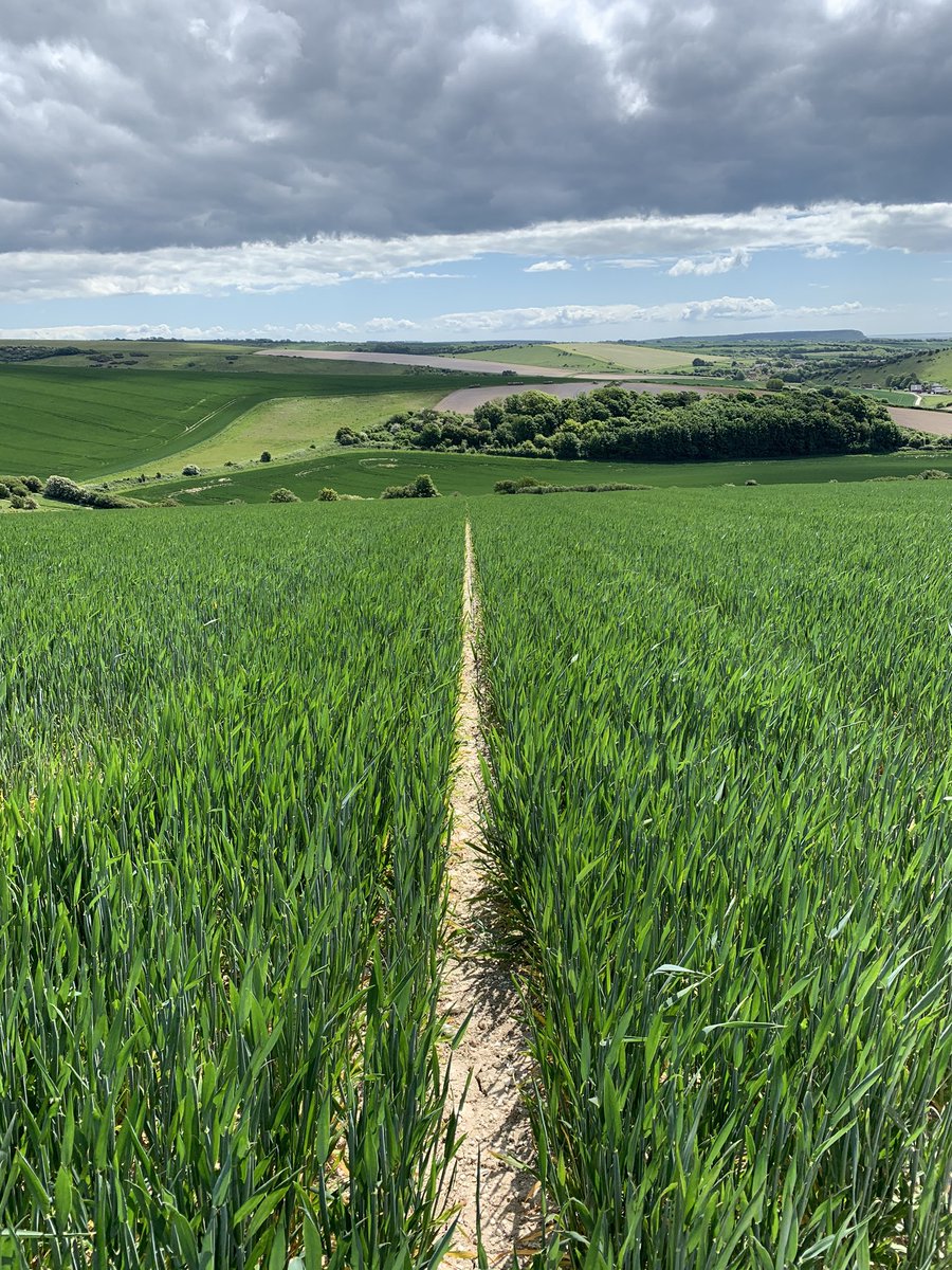 danaxson's tweet photo. Love the lines in this. Bottom of the cloud is like someone’s ripped through the picture. #SociallyDistantExercise https://t.co/K44YGEvCfT