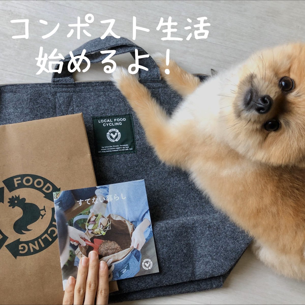 Ruka0034's tweet photo. 遂にコンポスト生活始めました！
時間がある時だからこそ、色々比較してみて、LFCコンポストにしました✨
庭がなくてもベランダで使いやすいタイプ。#ごみを減らす #サステイナブルライフ https://t.co/91yp7I9pry