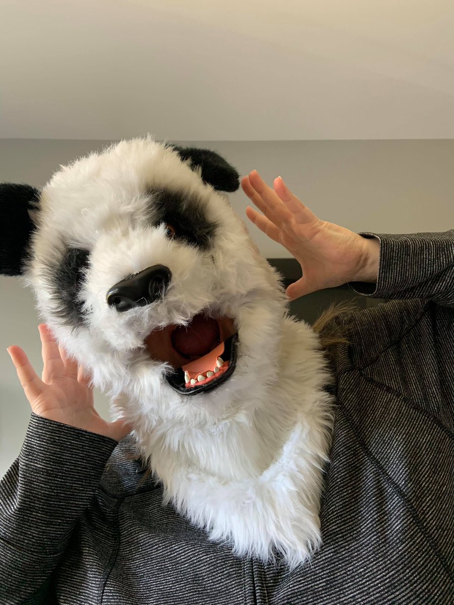 clarfunkle35's tweet photo. Guess who??
@HTE_K4 #HTEspirit https://t.co/1gM4uxIpTp