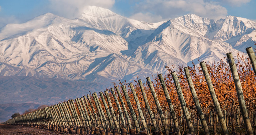 grapevinerye's tweet photo. Wine of the Week! - Malbec 'Paula', Lujan de Cuyo, Mendoza, Doña Paula. The climate's average temperature is 14°C. This creates a long ripening period and helps to concentrate the flavours in the berries. Full flavoured with sweet, spicy and intense aromas of ripe red fruits. https://t.co/mTgEnlDQn7