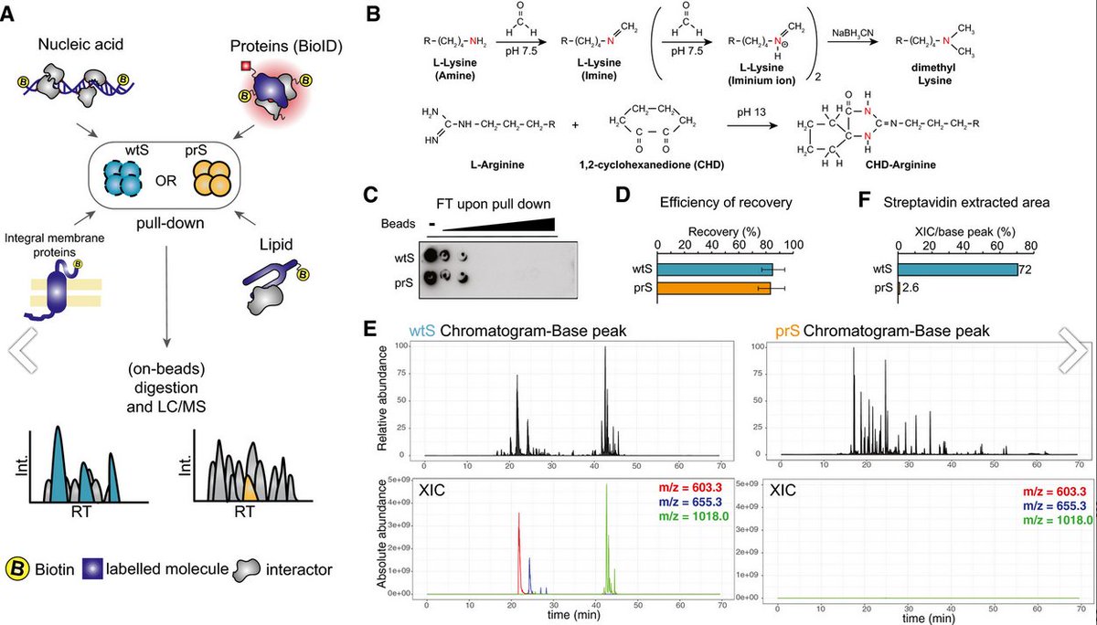 Michael Boutros tweet media