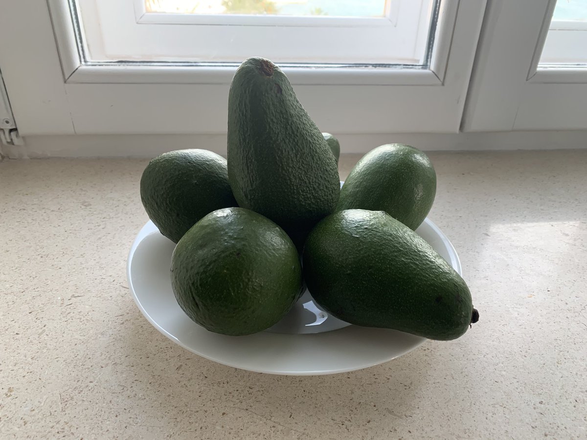 Day 65: Avocados are back in stock.
