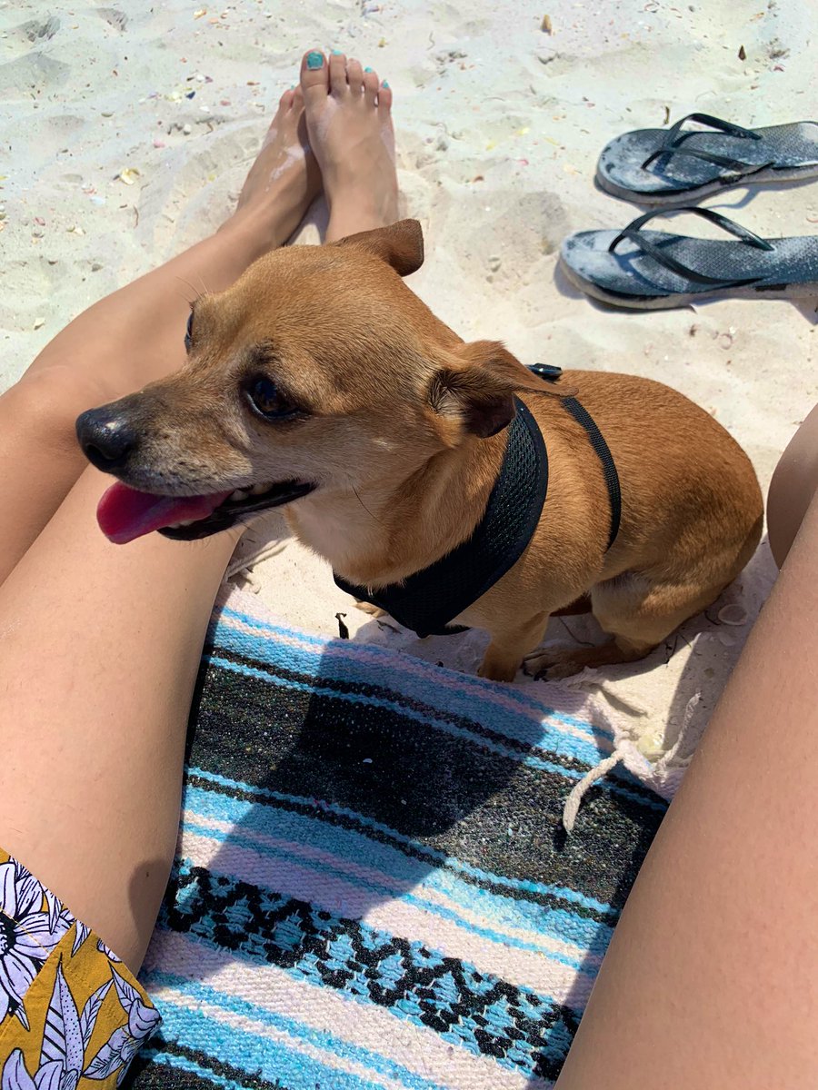 maddiesherms's tweet photo. Oh man I love my little family so much 🥺 https://t.co/7NuL8LCf2J