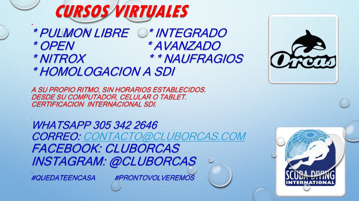 ClubOrcas's tweet photo. Amigos, los estamos esperando, iniciamos con el modulo teórico, de manera virtual. https://t.co/iITIshf3Zr