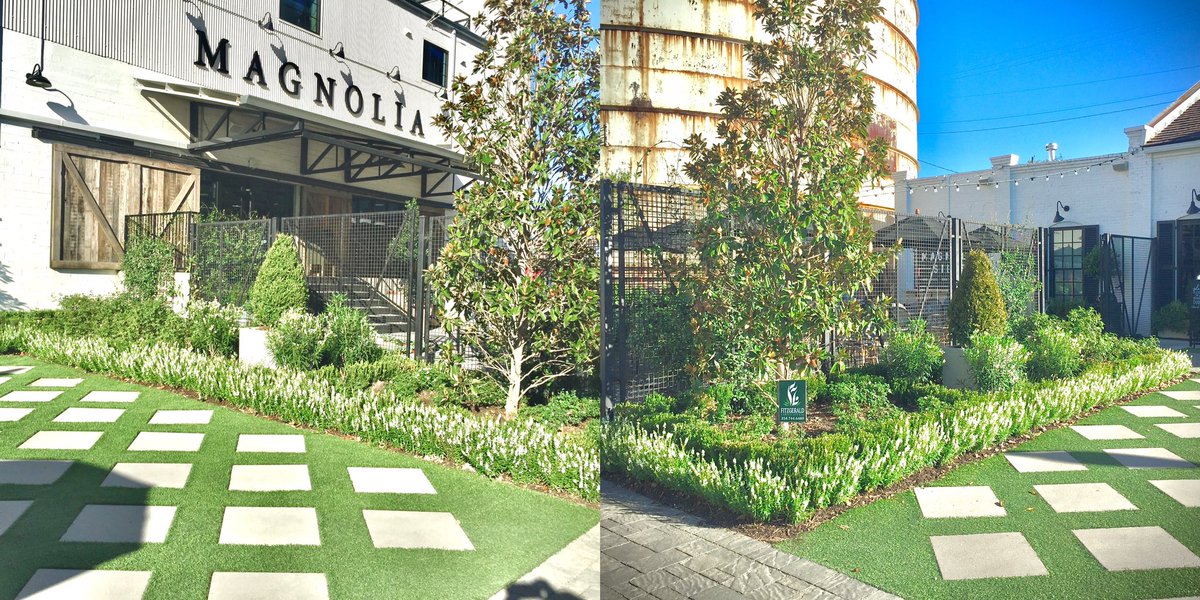 FitzgeraldsWaco's tweet photo. #ThrowbackThursday 

We always love doing landscaping work for Magnolia!!! #Magnolia 💯🙌 https://t.co/eZnK5zj7n1