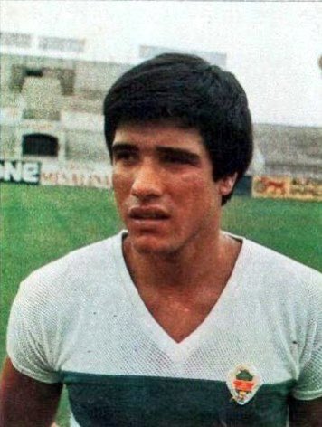 elchecf's tweet photo. 🇦🇷 ¡Feliz día del jugador argentino!

💚Grandes futbolistas de Argentina vistieron la camiseta del #ElcheCF

¿Cuál fue tu favorito? 😁 https://t.co/QAiiRMDrm7