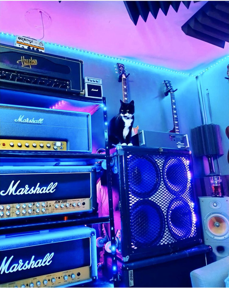 Rad. Thank you @ellis_eweniquestudios @marshallamps_uk love COA #marshallamps #catsonamps <a href="/mmvitali/">American Record Company |</a>