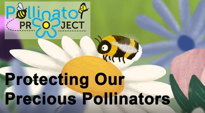 Start helping pollinators by creating your own pollinator patch in a garden or window box. Set aside 10% of your outdoor space to the little guys. youtube.com/watch?v=Tuw6vs…