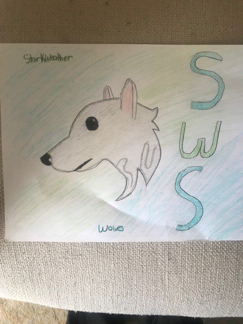 John Meanix tweet media