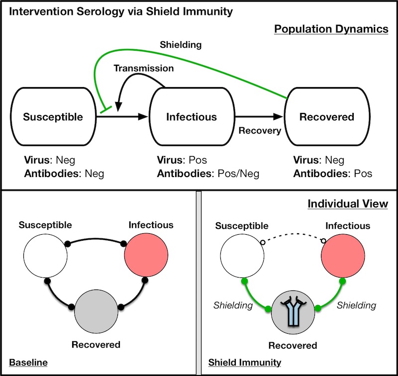 The key premise was that strategic deployment of recovered individuals (w/presumed protective antibodies) could form the basis for interaction substitution, i.e., thereby reducing the potential for transmission in the collective interests.