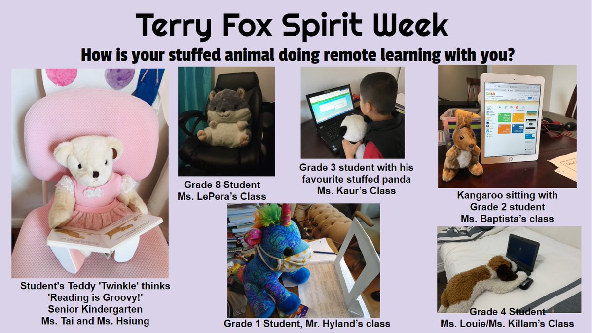 TerryFoxPS1's tweet photo. Thank you parents and students for sending in your pictures =) https://t.co/5MZioTo78i