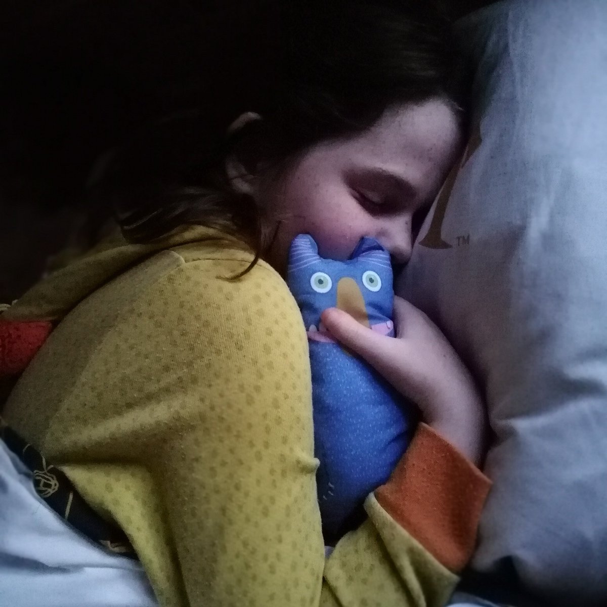 FruitflyC's tweet photo. Pip prototype slept in Alex’s bed. Helping with COVID19 worries as well as pre-bereavement. #PipKit project aims to inform &support kids around grief, dying &death in an honest, age appropriate way. #PipKit #palliativecare #endoflifecare #talktokidsaboutdying #supportgrievingkids https://t.co/MFmAMeElIQ