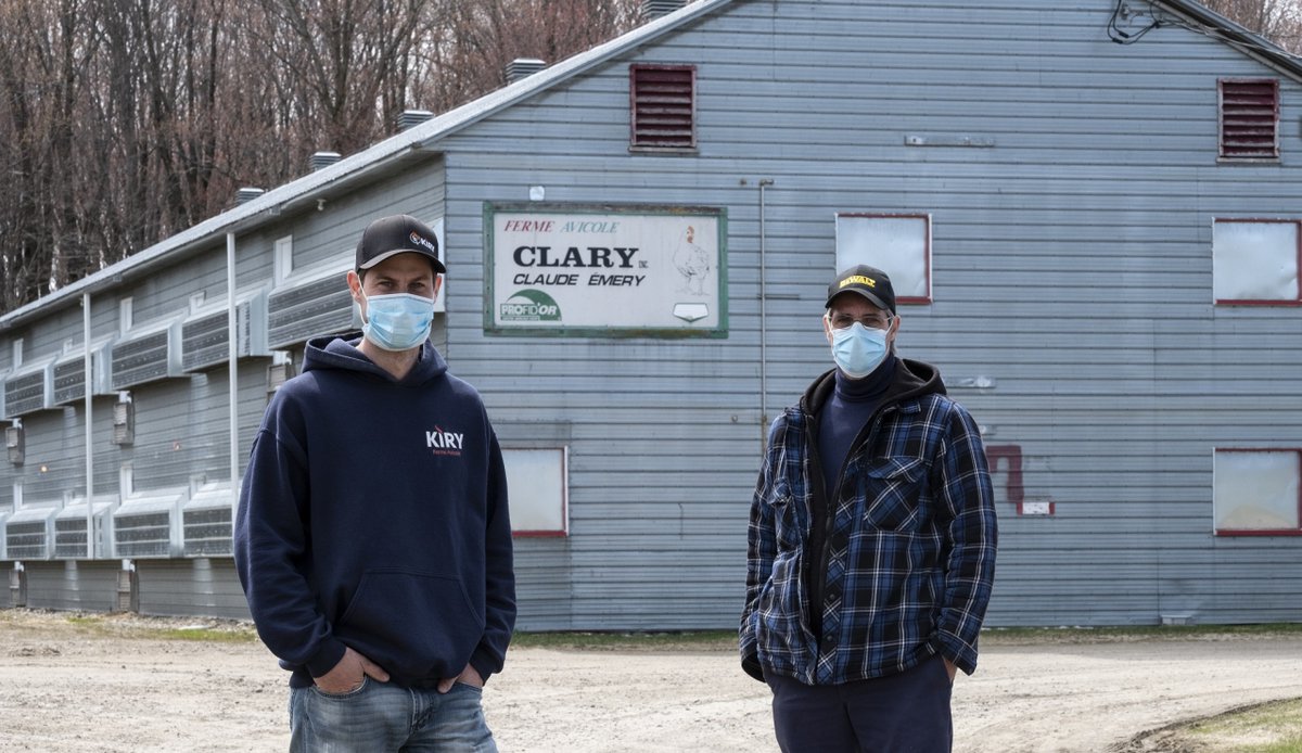 Entre la diminution forcée de leur production et le report des projets de croissance, comment les producteurs font-ils leur part pour protéger la sécurité alimentaire du Québec? Reportage du @CooperateurMag chez Kim Emery de la Ferme Kiry. bit.ly/35WW5eS