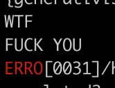 WTF
FUCK YOU
ERRO[0031]