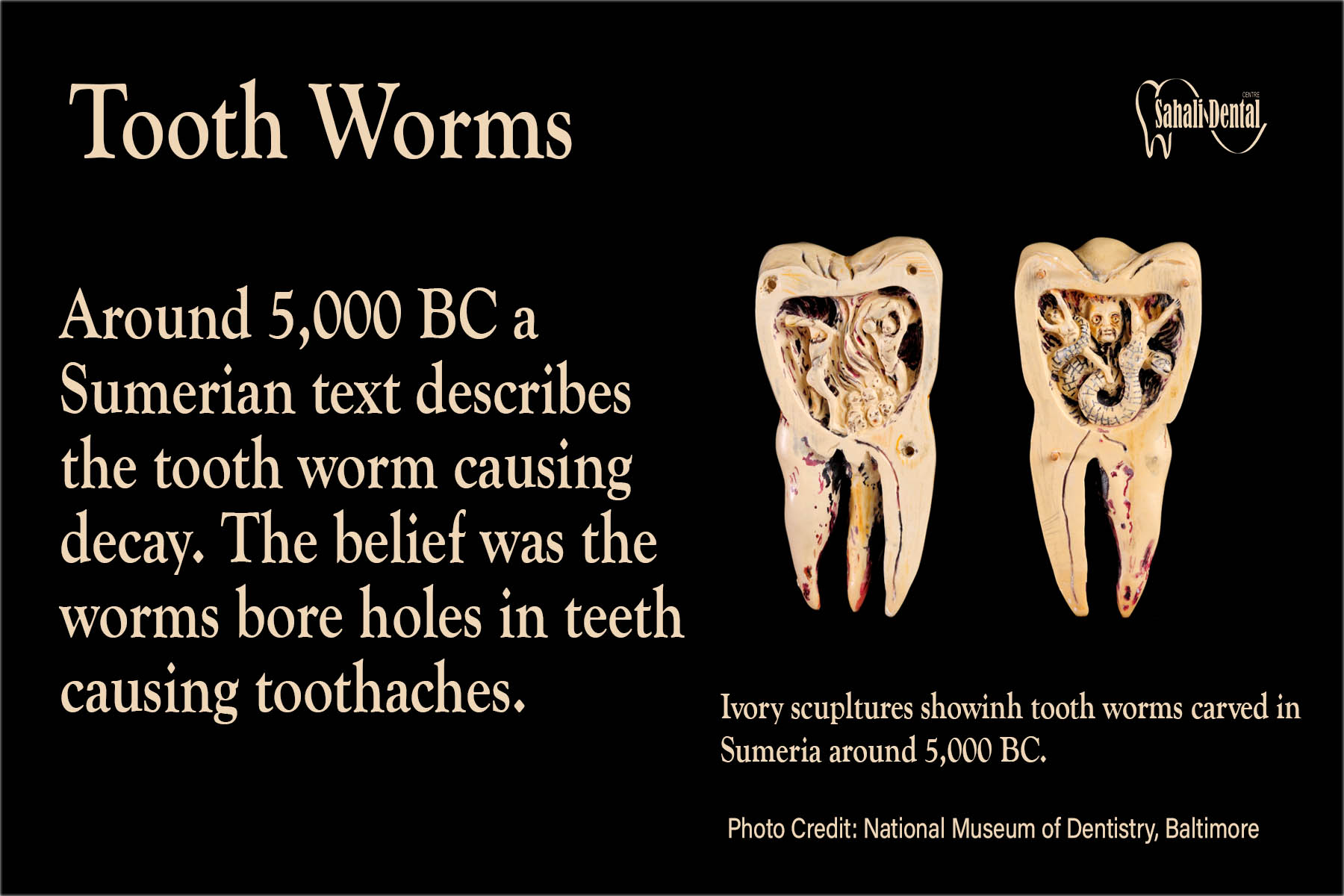 Sahali Dental Centre on X: Around 5,000 BC it was believed that tooth  decay was caused by tooth worms. The belief went from Sumeria to China,  Egypt, India and eventually spread to