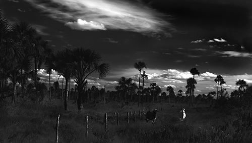 EDGEofHUMANITY's tweet photo. Simple Lives Off The Grid In Brazil’s Backlands
https://t.co/yfpfEwbyhd
#OffTheGrid #Brazil #Backlands #DocumentaryPhotography #Photography #Blackandwhitephotography https://t.co/aI9yTA8ehb