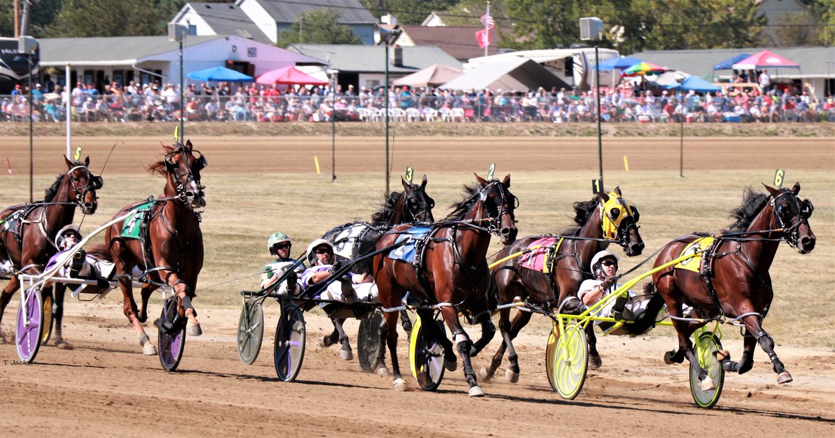 hoosiernations's tweet image. Afternoon @FastPace710 @Chris_wponies @TheBurgh12 @JoannKi32885615 @Harrison_LeVan @rebelsart @JaymeLaing @kimberlymoier @KathleenBaitzel @elliotgordon2 @vnssa926 @BradA53472906 @chasewatiker tike #GoldDiggerKing #BrianSears #NativesSweetLou #DanNoble #RoseRunUlysses #DavidMiller