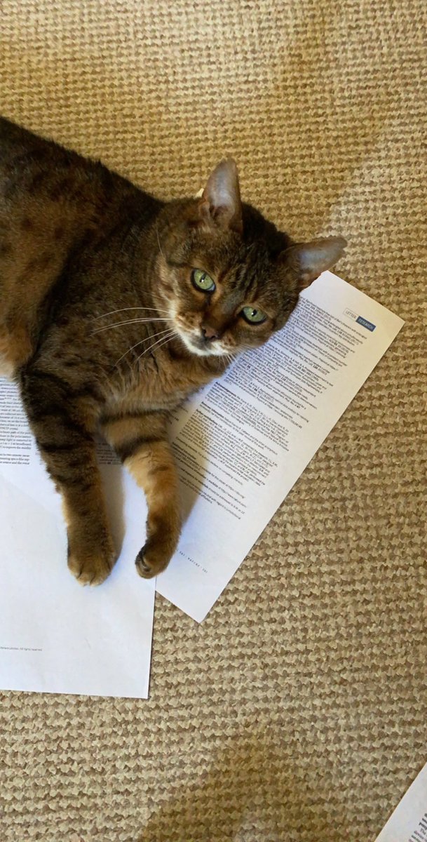 sukibengal's tweet photo. Oh I’m am sorrey at You tryemg to , read this Articol on Device Independent Quantum Random Number Generation? ...,Okey well I’m am nappig so Com back lator pleas https://t.co/pN4dvRTuRY