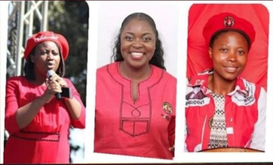 SAYoF_Official's tweet photo. SADC Youth Forum/ SAYoF  has taken note of the reported/missing 3 Young Women Political Activists in Zimbabwe. We urge the Government of Zim to do what it can in the shortest possible time to publish their whereabouts. #SADCYOUTH https://t.co/jYePDtTk3c