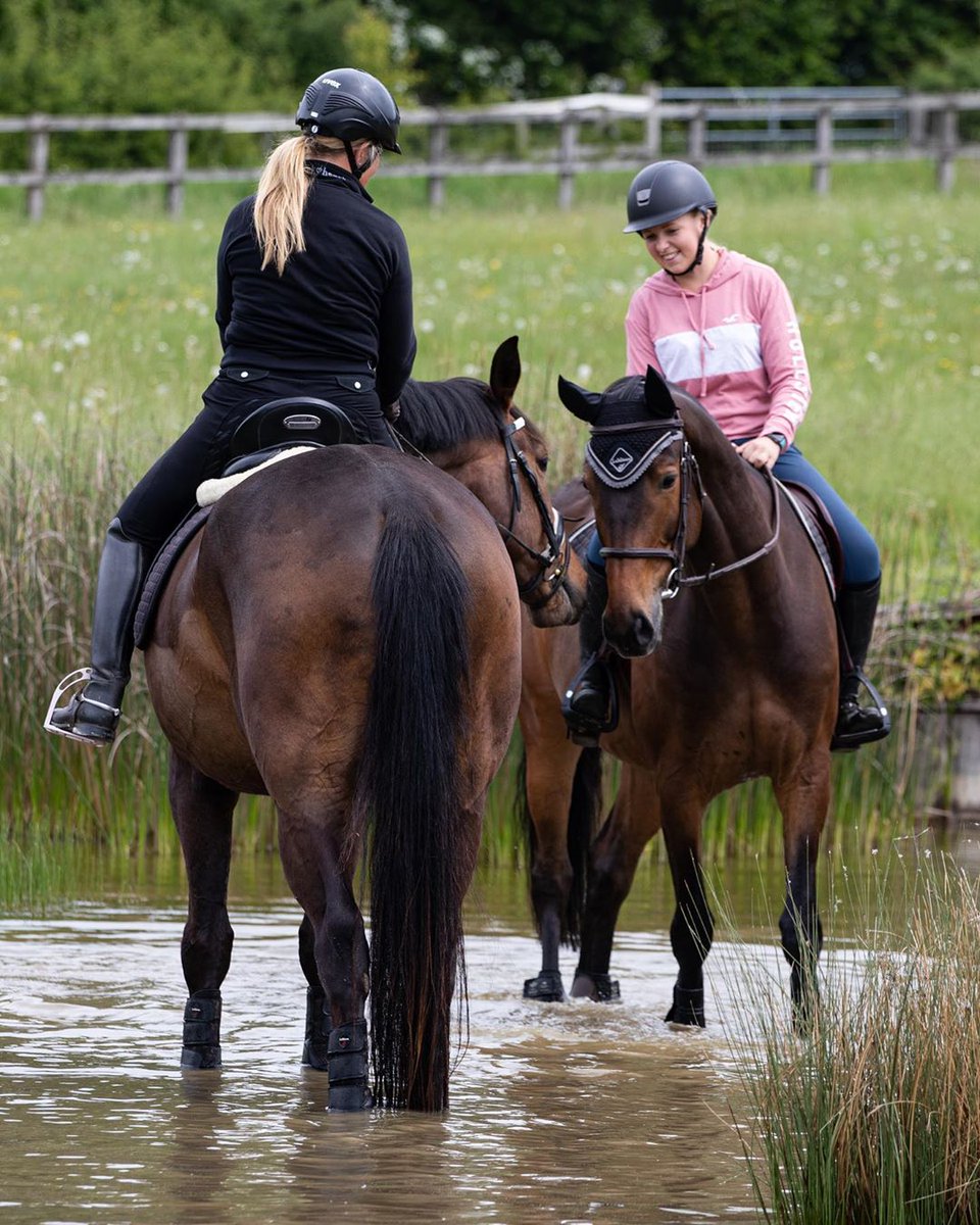 HORSE SCOUT GROUP tweet media