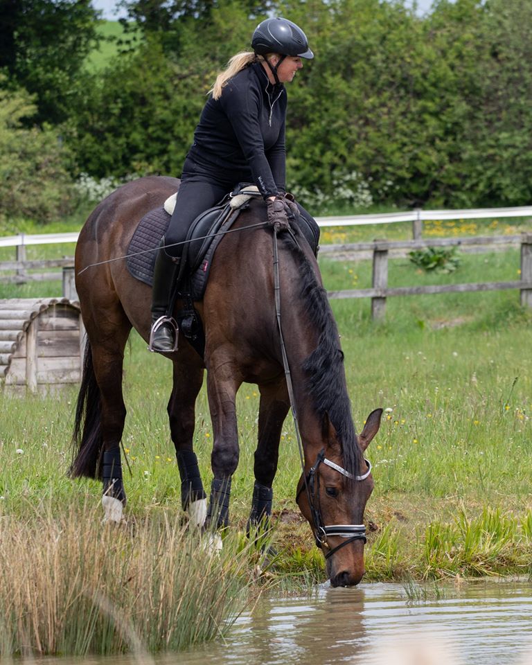 HORSE SCOUT GROUP tweet media