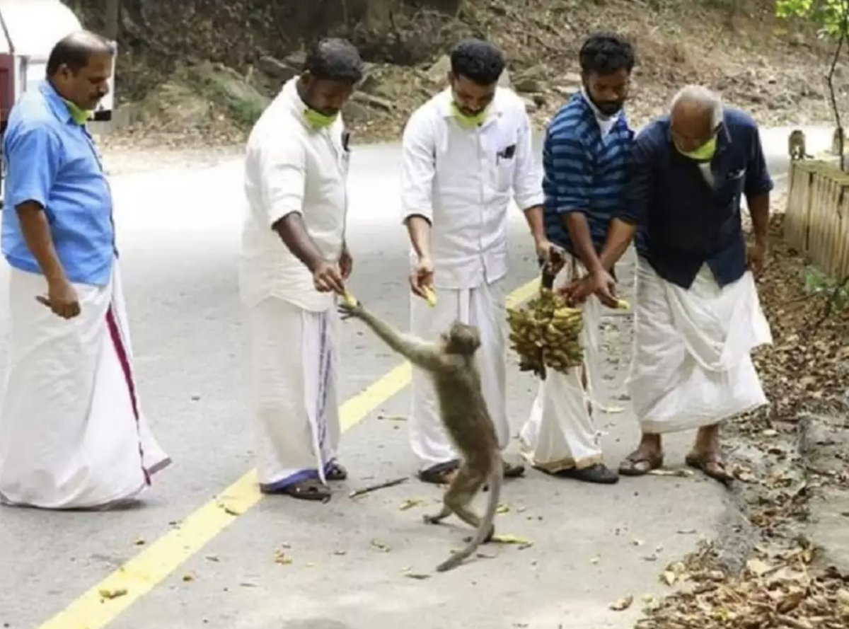 • Even stray dogs and monkeys are being looked after, who in normal times are fed by locals in the streets and temples.