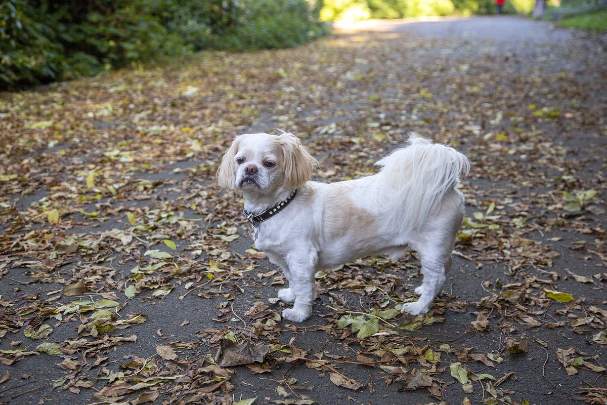 Andy Ragsdale tweet media