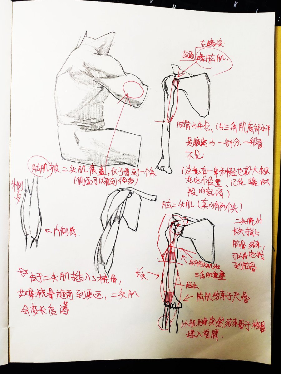 每天整点 
