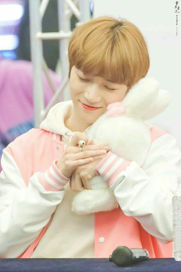 The amount of photos I have of beomgyu with plushies is unhealthy 