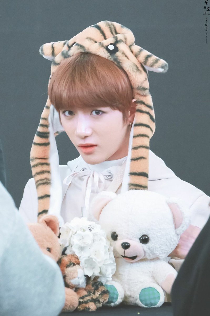 The amount of photos I have of beomgyu with plushies is unhealthy 