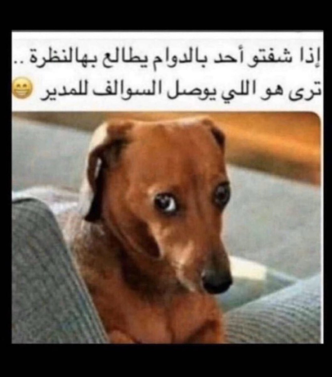 مهندز tweet media