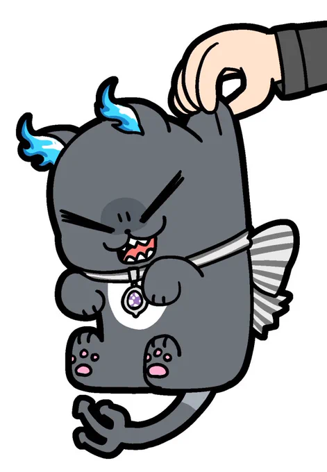 今日の 