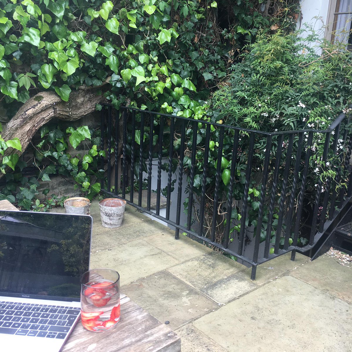 Curious_PR's tweet photo. As it's lovely weather outside we have swapped our whiteboards for greenery! We are enjoying being #Curious working from home!
π©π»βπ»βοΈπΊ
#wfh #workfromhome #thursdaythoughts #StayHome #catsthatworkfromhome #itsnearlysummer #pr #curiouscats #nature https://t.co/sDlHA0xjQH
