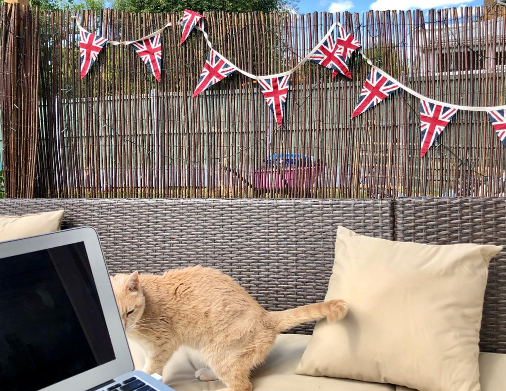Curious_PR's tweet photo. As it's lovely weather outside we have swapped our whiteboards for greenery! We are enjoying being #Curious working from home!
π©π»βπ»βοΈπΊ
#wfh #workfromhome #thursdaythoughts #StayHome #catsthatworkfromhome #itsnearlysummer #pr #curiouscats #nature https://t.co/sDlHA0xjQH
