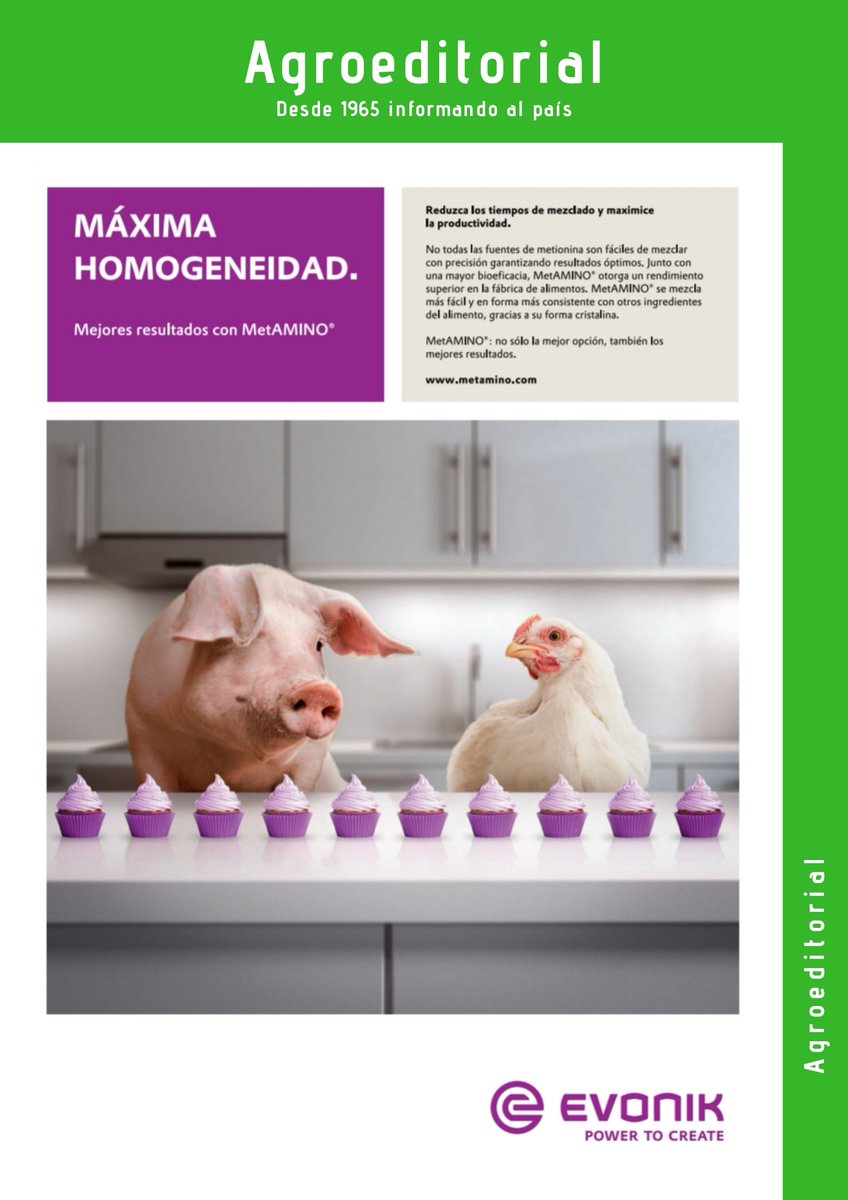Agroeditorial's tweet photo. Máxima homogeneidad con #MetAMINO de #Evonik 🐷🐔 https://t.co/RnTeQEND2v