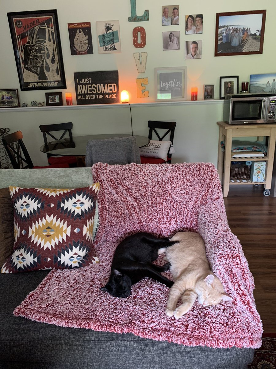 My #cats are the cutest. They love to snuggle each other ♥️